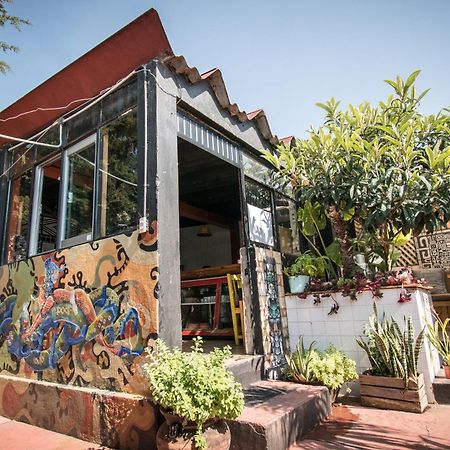 13 Cielos Hostel & Coworking San Cristóbal de Las Casas Kültér fotó