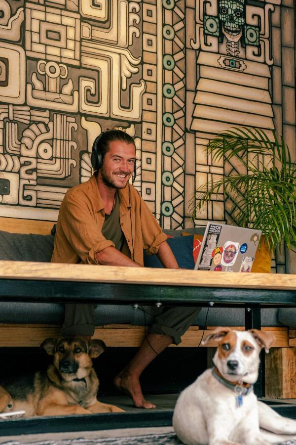 13 Cielos Hostel & Coworking San Cristóbal de Las Casas Kültér fotó