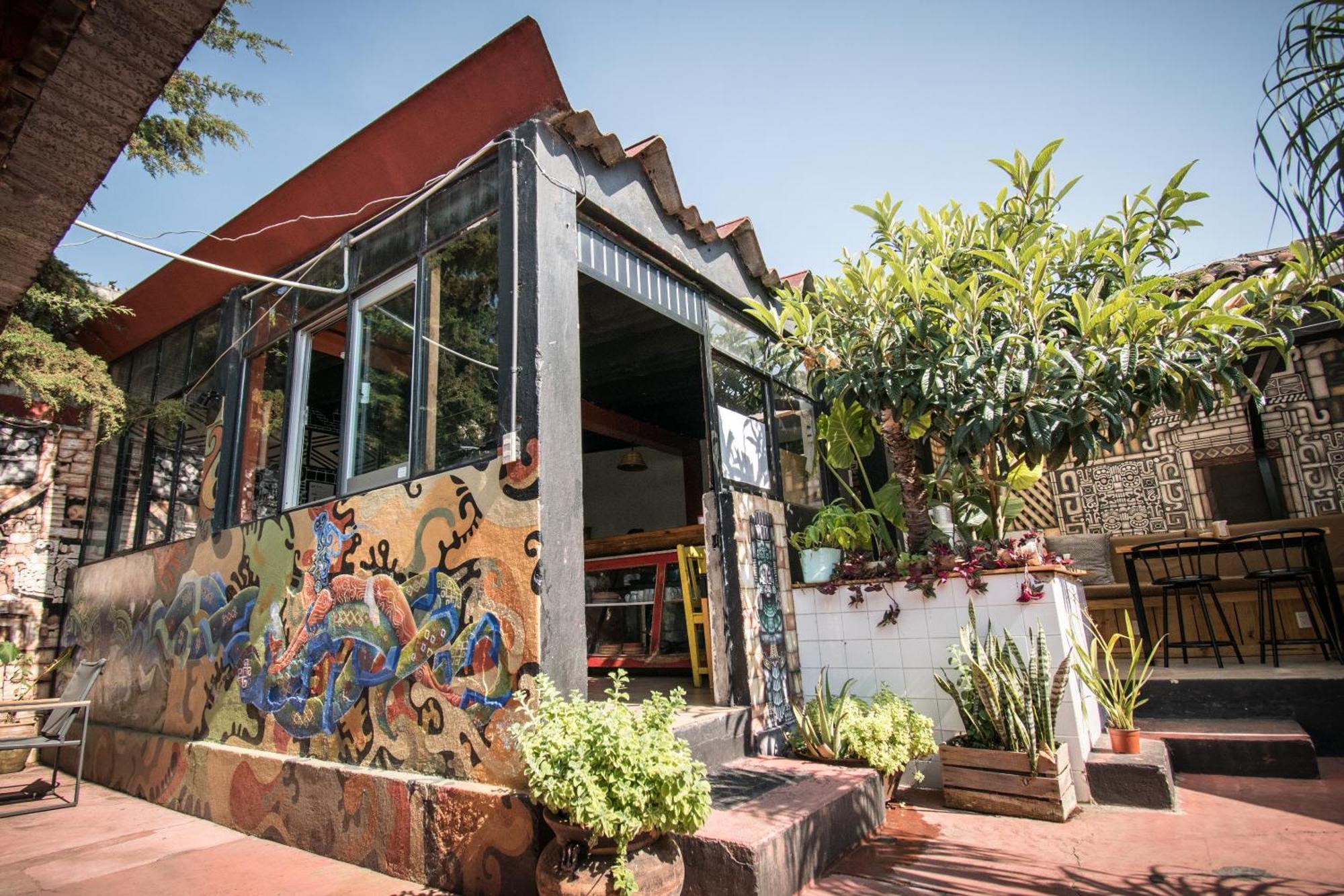 13 Cielos Hostel & Coworking San Cristóbal de Las Casas Kültér fotó